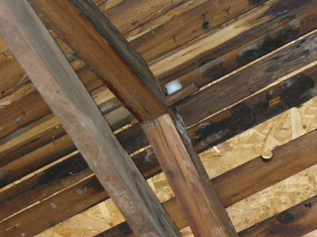 Fairfield, North Carolina Waterfront Farmhouse Renovation Half-lapped and Pegged Rafter Detail